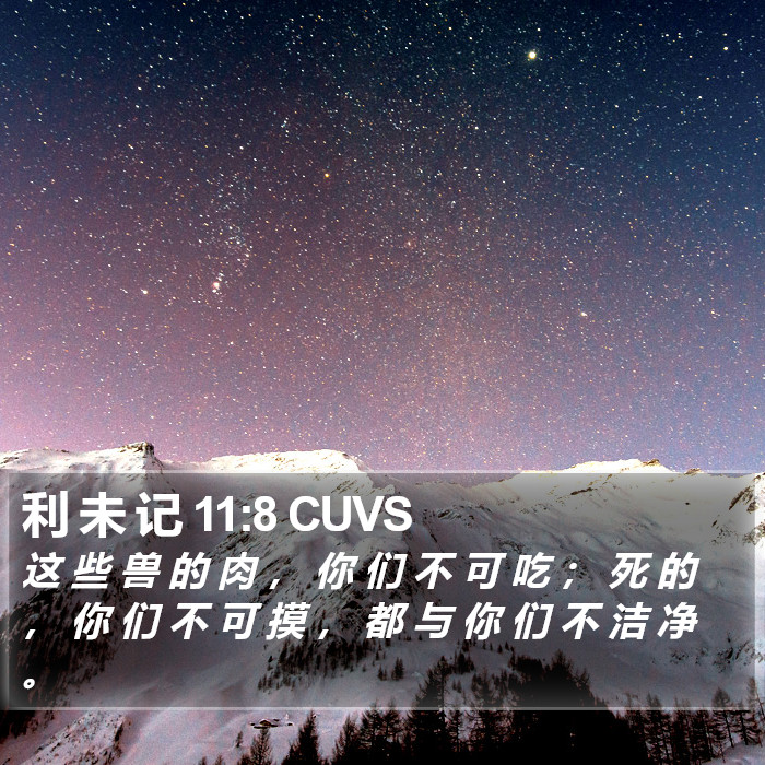 利 未 记 11:8 CUVS Bible Study