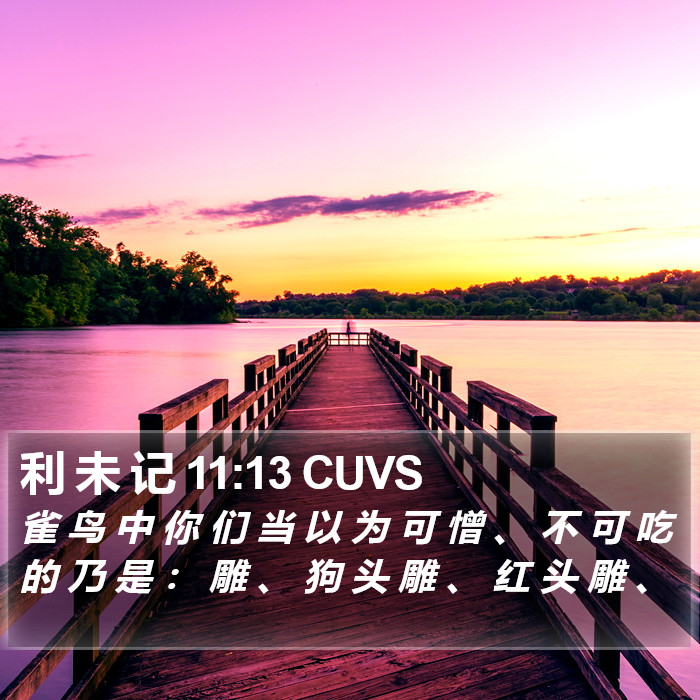 利 未 记 11:13 CUVS Bible Study