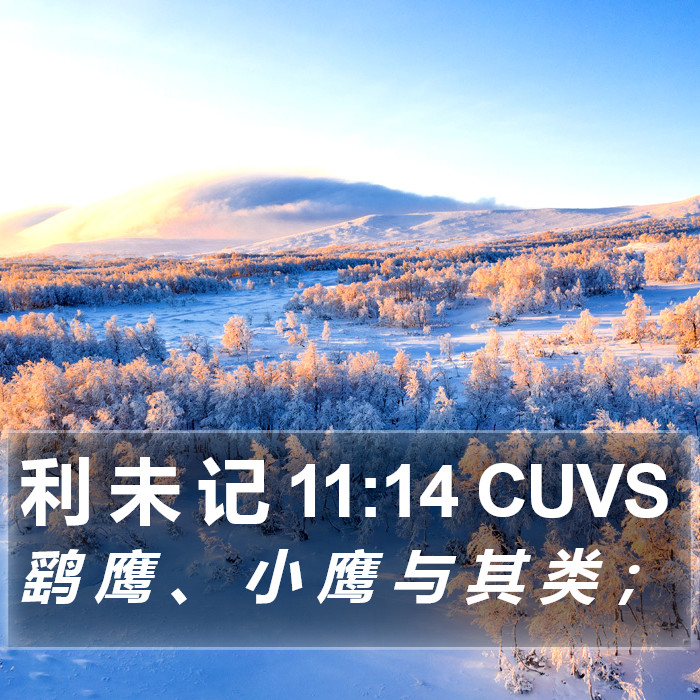 利 未 记 11:14 CUVS Bible Study