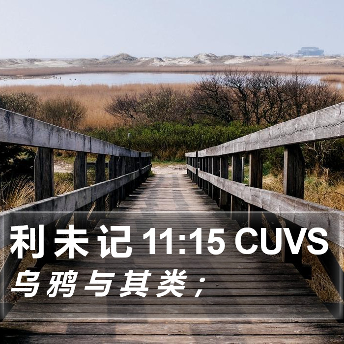 利 未 记 11:15 CUVS Bible Study