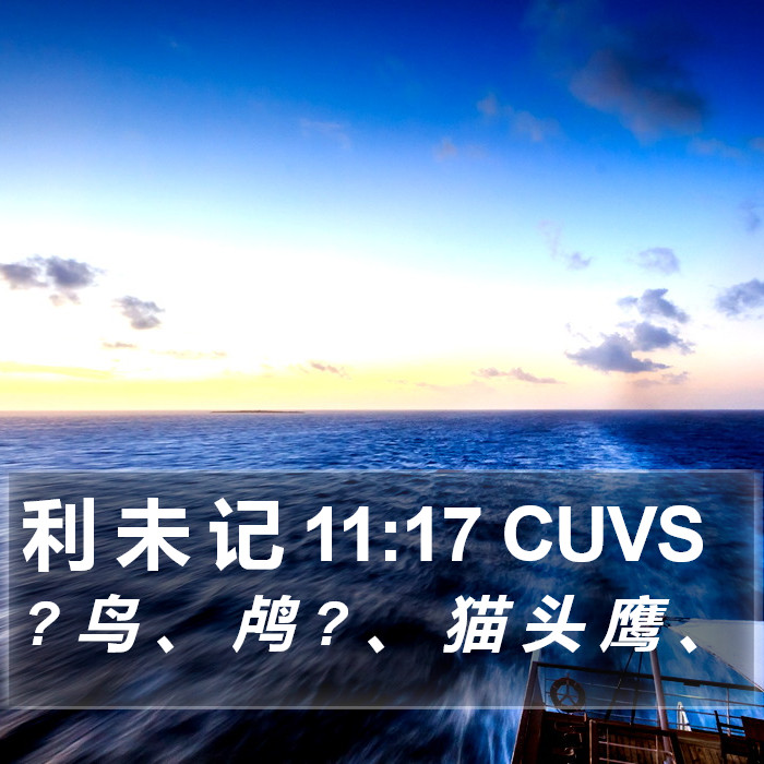 利 未 记 11:17 CUVS Bible Study