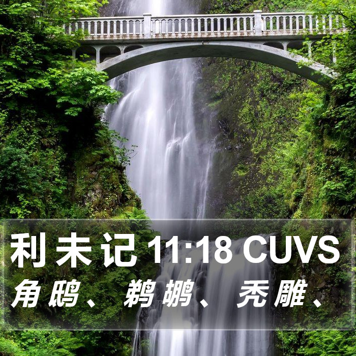 利 未 记 11:18 CUVS Bible Study