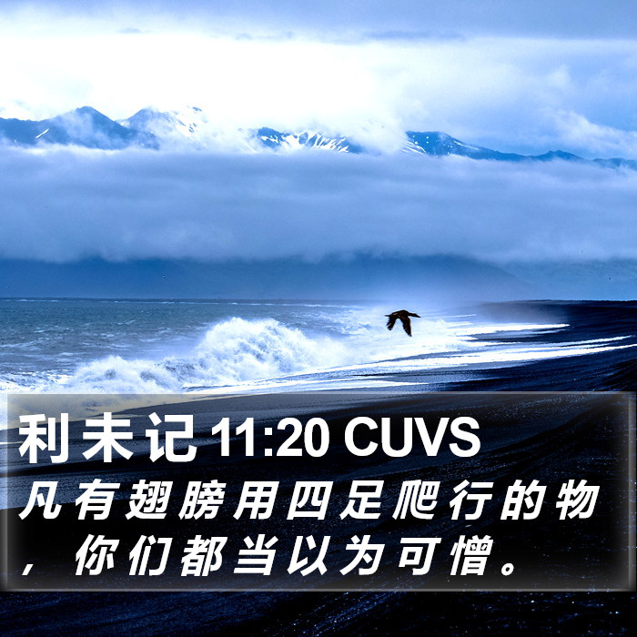 利 未 记 11:20 CUVS Bible Study