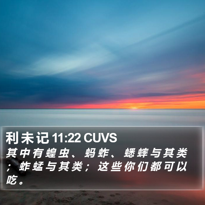 利 未 记 11:22 CUVS Bible Study