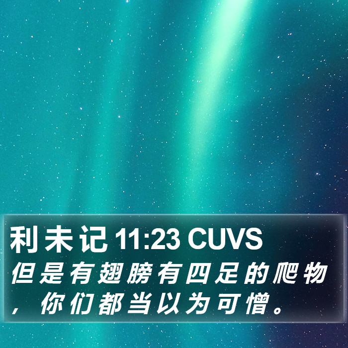 利 未 记 11:23 CUVS Bible Study