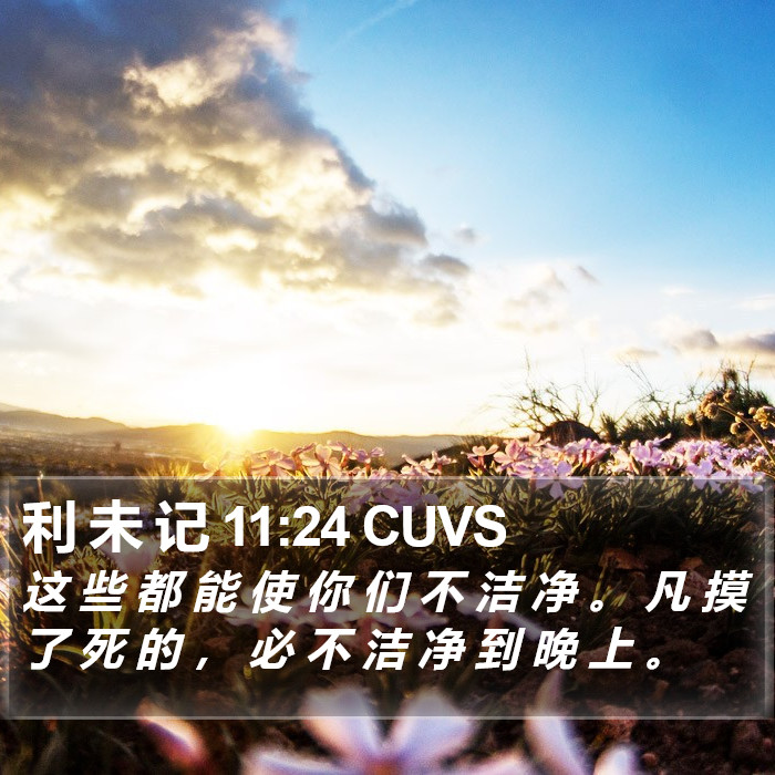 利 未 记 11:24 CUVS Bible Study