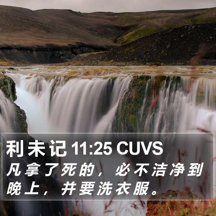 利 未 记 11:25 CUVS Bible Study