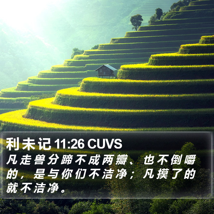 利 未 记 11:26 CUVS Bible Study