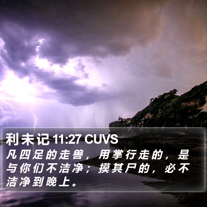 利 未 记 11:27 CUVS Bible Study