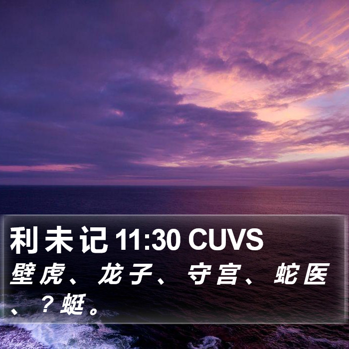 利 未 记 11:30 CUVS Bible Study