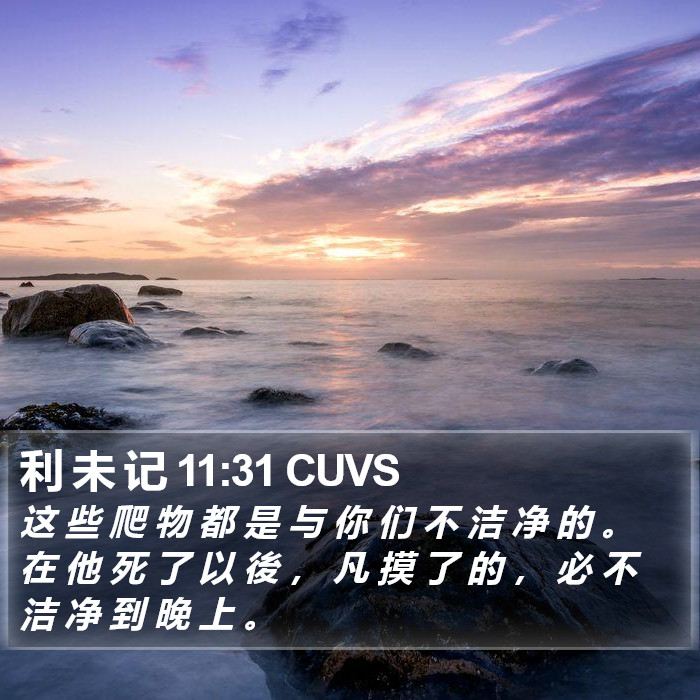 利 未 记 11:31 CUVS Bible Study