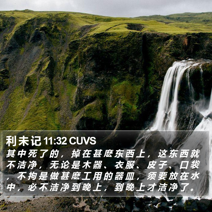 利 未 记 11:32 CUVS Bible Study