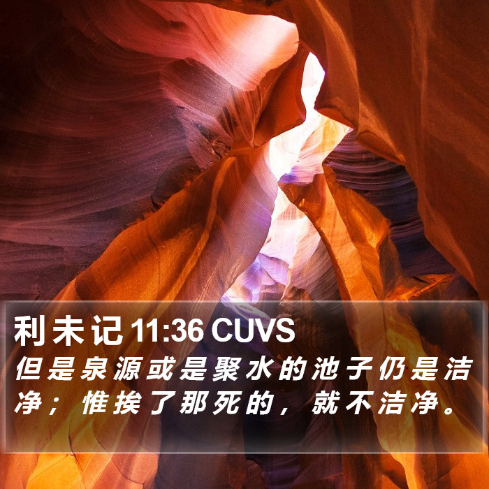 利 未 记 11:36 CUVS Bible Study