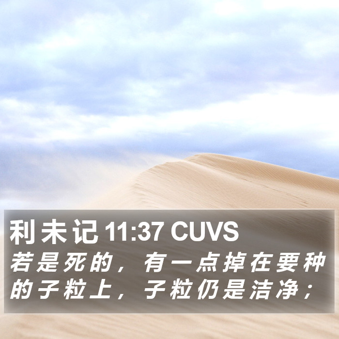 利 未 记 11:37 CUVS Bible Study
