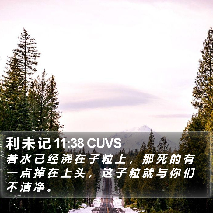 利 未 记 11:38 CUVS Bible Study