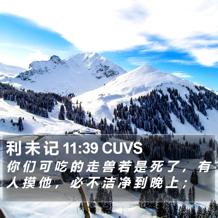 利 未 记 11:39 CUVS Bible Study