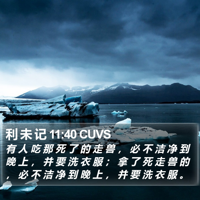 利 未 记 11:40 CUVS Bible Study