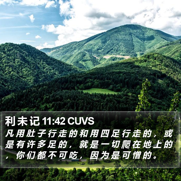 利 未 记 11:42 CUVS Bible Study