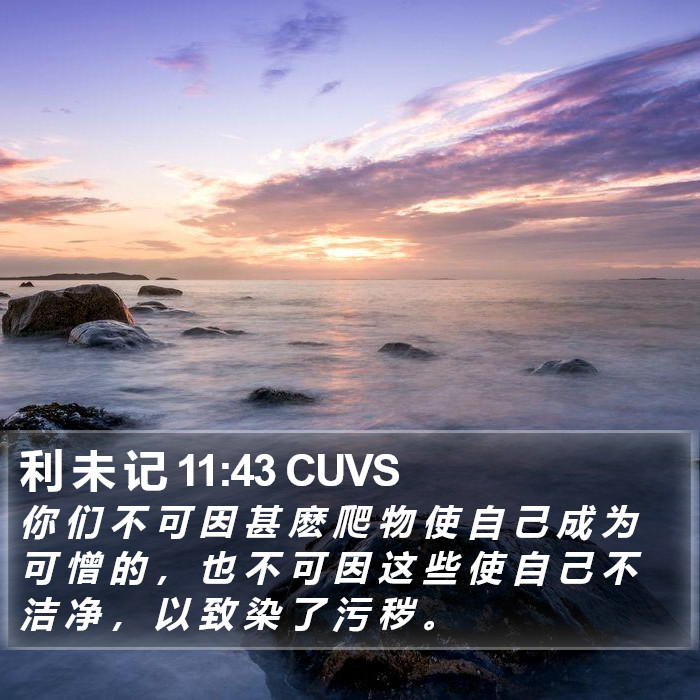 利 未 记 11:43 CUVS Bible Study