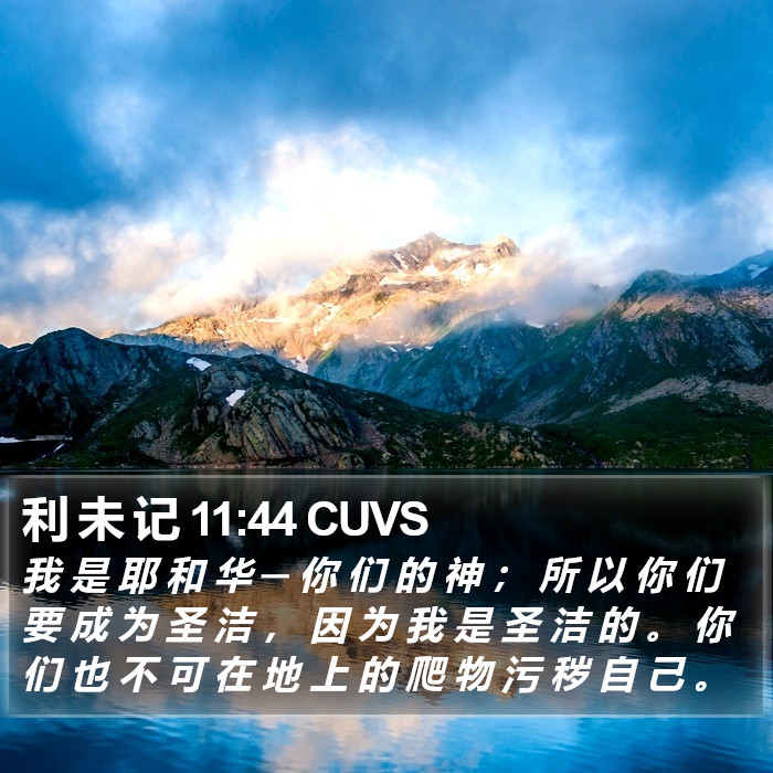 利 未 记 11:44 CUVS Bible Study