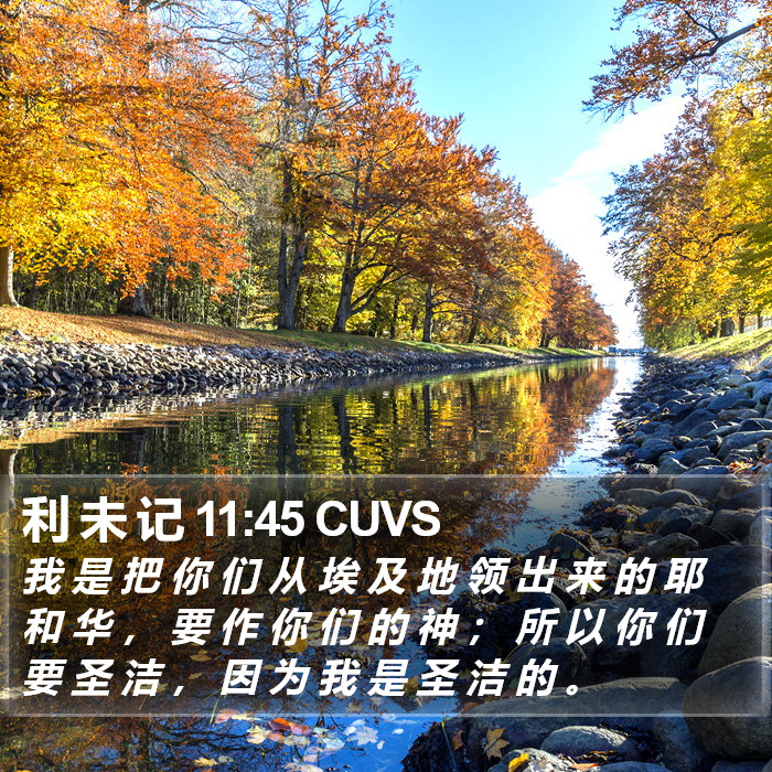 利 未 记 11:45 CUVS Bible Study