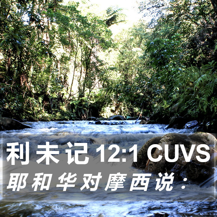 利 未 记 12:1 CUVS Bible Study