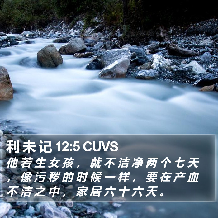 利 未 记 12:5 CUVS Bible Study
