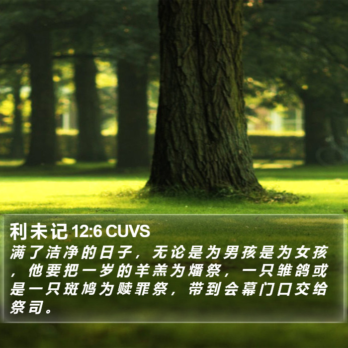 利 未 记 12:6 CUVS Bible Study