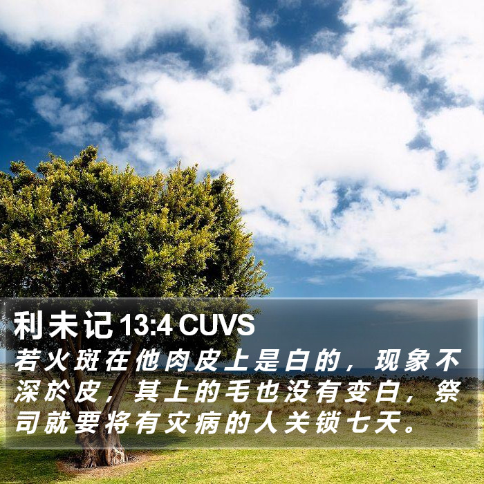 利 未 记 13:4 CUVS Bible Study