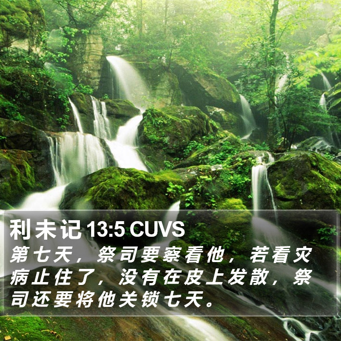 利 未 记 13:5 CUVS Bible Study