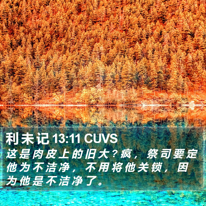 利 未 记 13:11 CUVS Bible Study