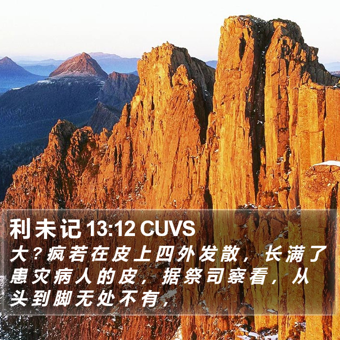 利 未 记 13:12 CUVS Bible Study