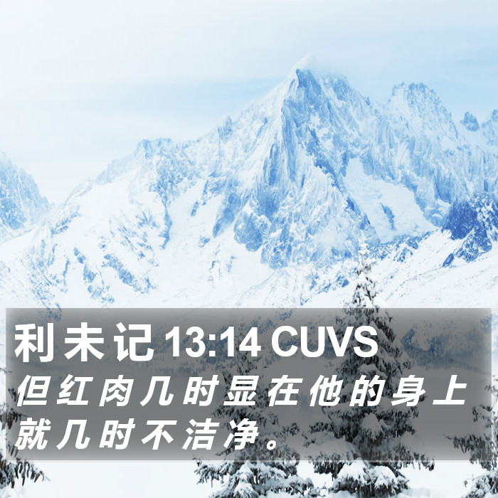 利 未 记 13:14 CUVS Bible Study