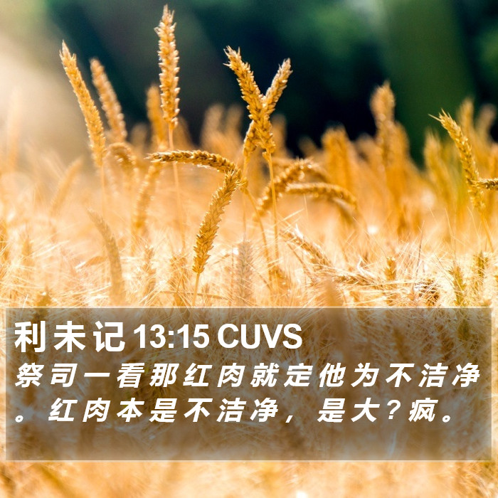 利 未 记 13:15 CUVS Bible Study