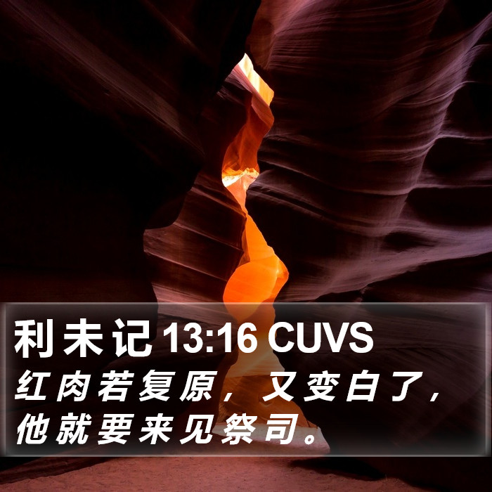 利 未 记 13:16 CUVS Bible Study