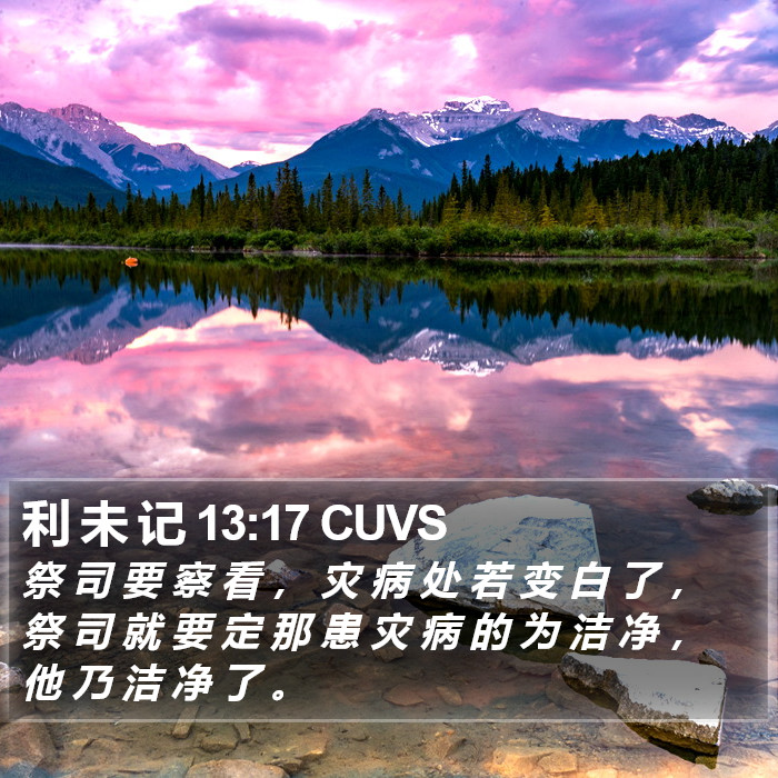 利 未 记 13:17 CUVS Bible Study