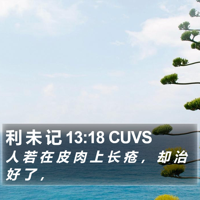 利 未 记 13:18 CUVS Bible Study