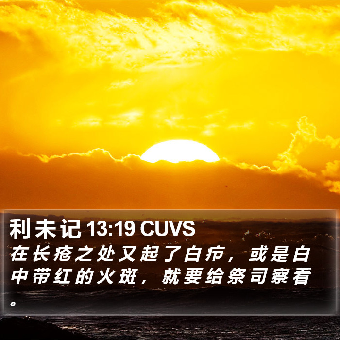 利 未 记 13:19 CUVS Bible Study