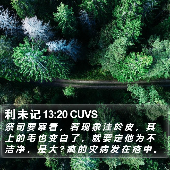 利 未 记 13:20 CUVS Bible Study