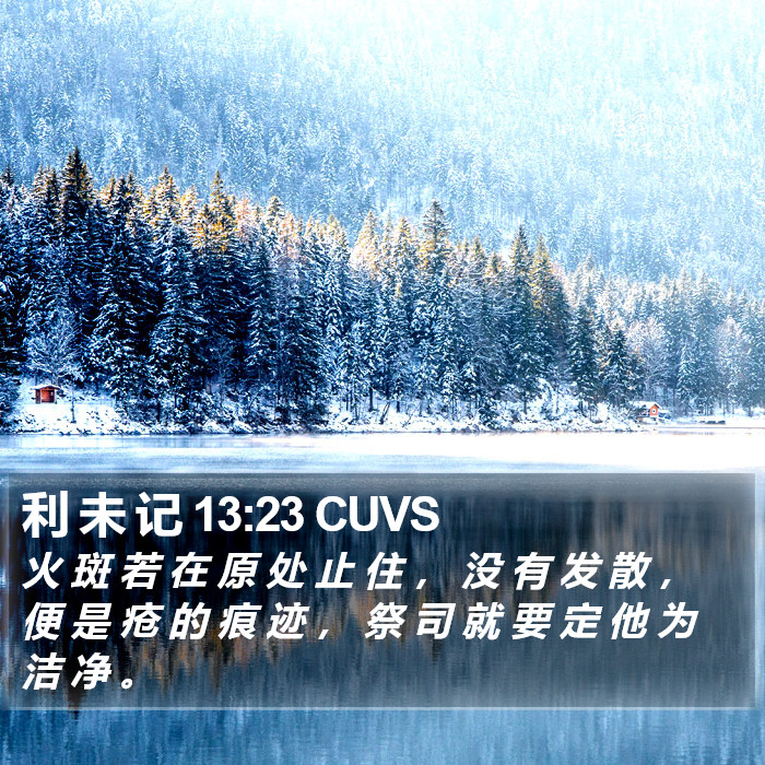 利 未 记 13:23 CUVS Bible Study