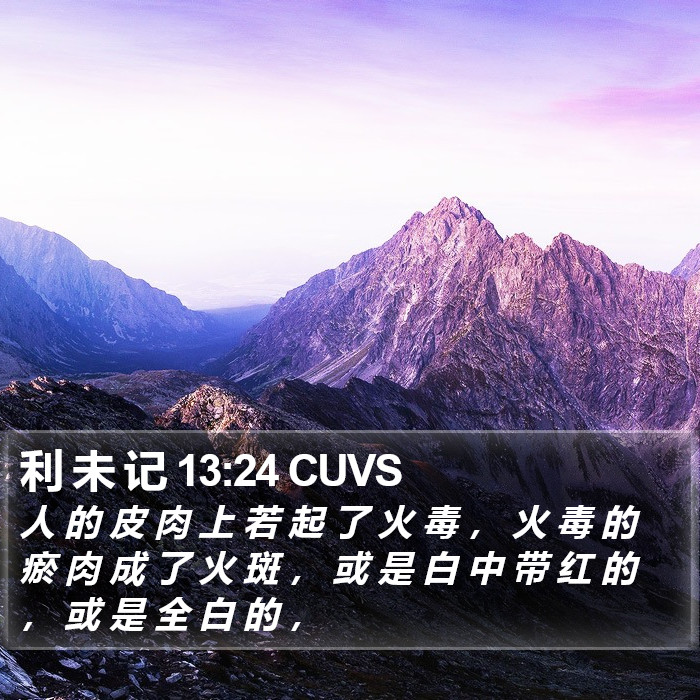 利 未 记 13:24 CUVS Bible Study