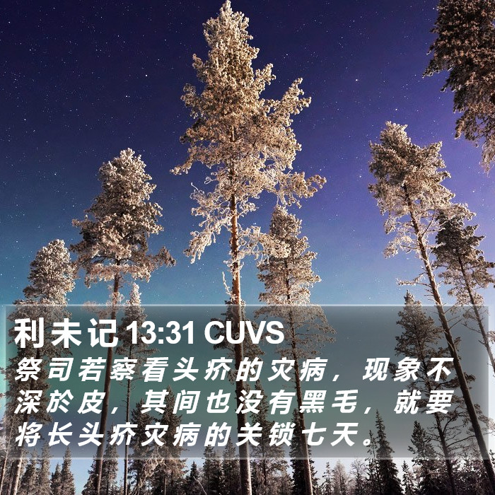 利 未 记 13:31 CUVS Bible Study