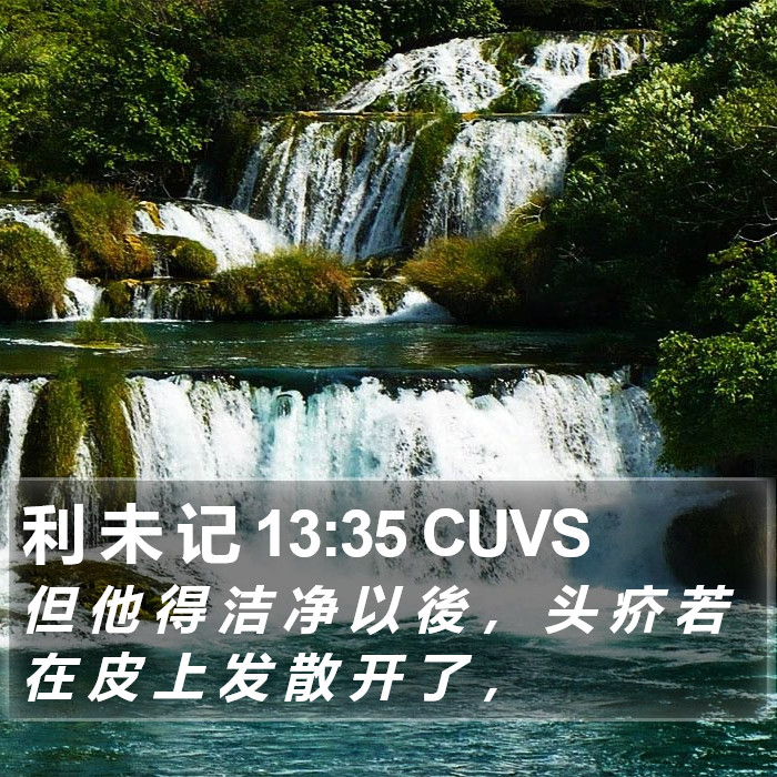 利 未 记 13:35 CUVS Bible Study