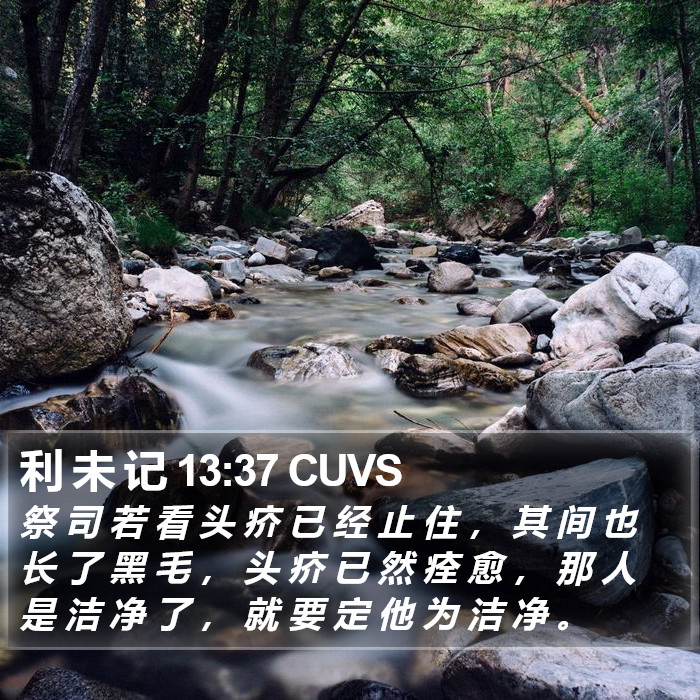 利 未 记 13:37 CUVS Bible Study