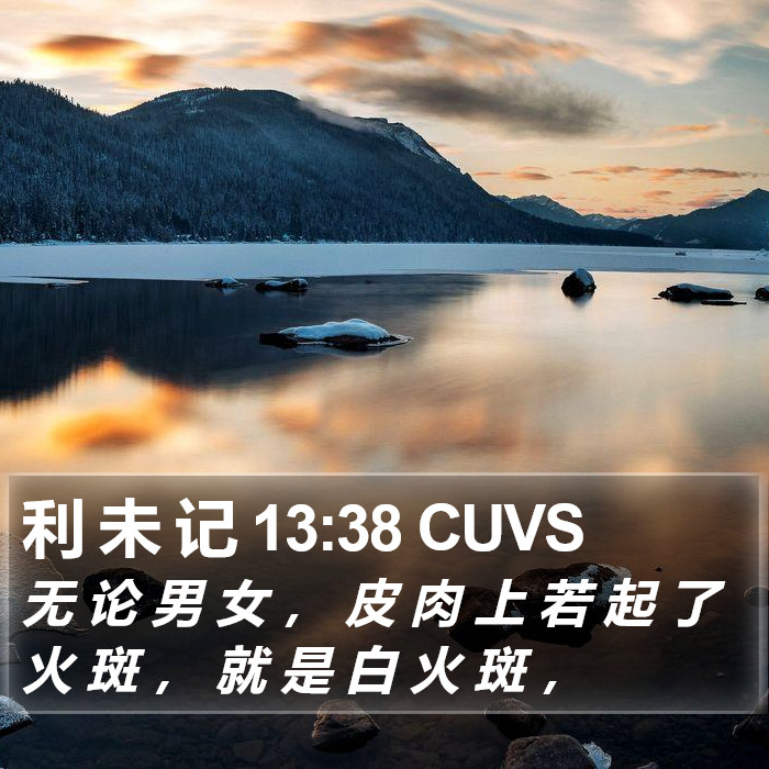 利 未 记 13:38 CUVS Bible Study