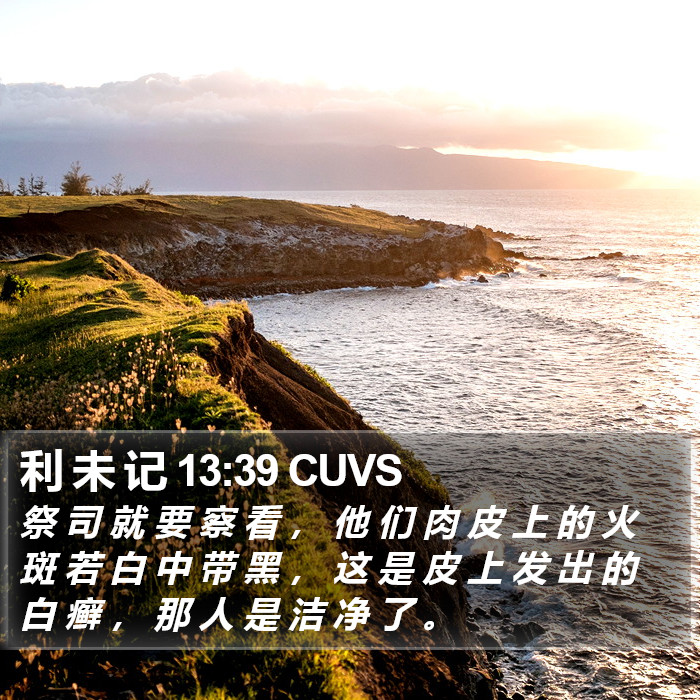 利 未 记 13:39 CUVS Bible Study