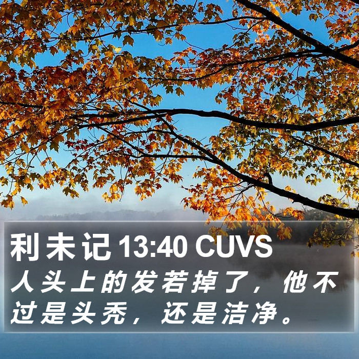 利 未 记 13:40 CUVS Bible Study