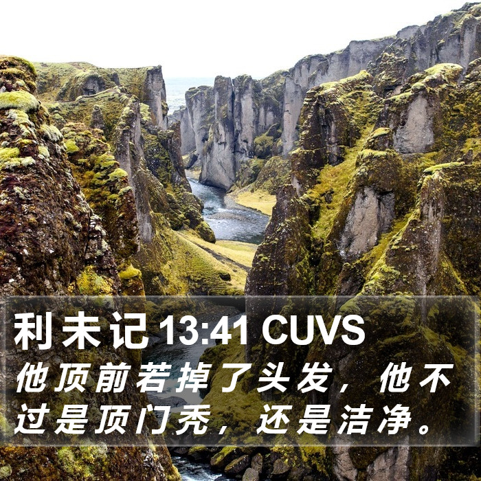 利 未 记 13:41 CUVS Bible Study