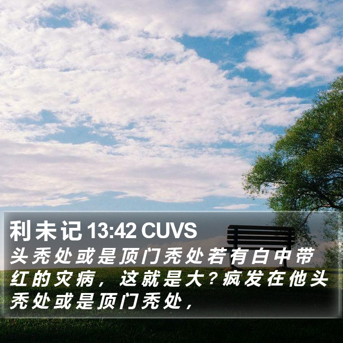 利 未 记 13:42 CUVS Bible Study