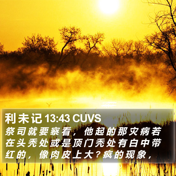 利 未 记 13:43 CUVS Bible Study